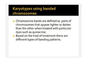 Unit4 - Notes - Community Organisation as a Method of Social Work ...