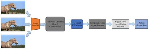 Visual Feature Learning on Video Object and Human Action Detection: A ...