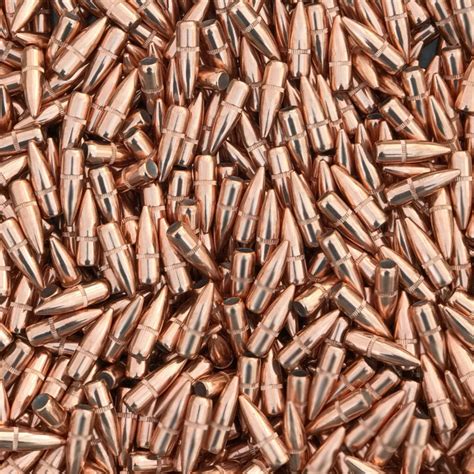 Image result for Casting Bullets for Reloading