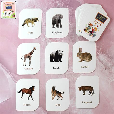 Kidkraft 32-Piece Animal Flash Cards Set – Sky Shopy