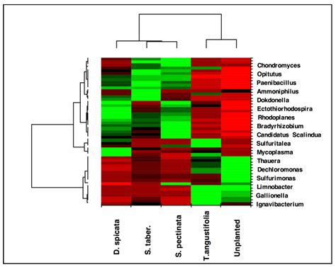 Influence of Plant Species on Microbial Activity and Denitrifier ...