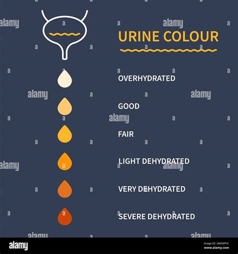 Urine Cloudy During Pregnancy