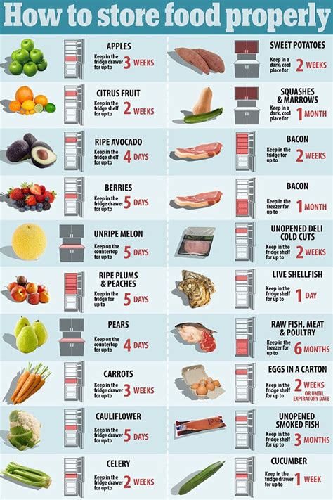 Image result for How to Store Food Properly Chart