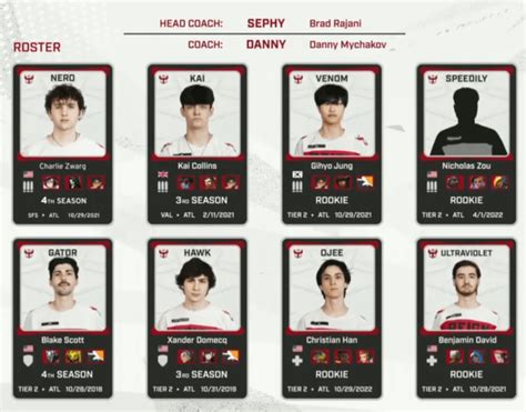 Image result for Overwatch Competitive Card