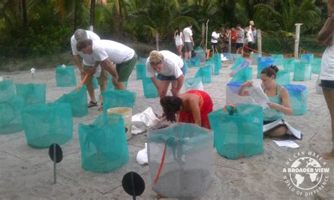 Help Environment in Local Communities 的图像结果