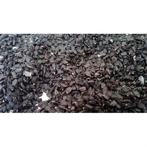 Indian Herbal Extracts - Coccinia Indica Extract Manufacturer from Sonipat