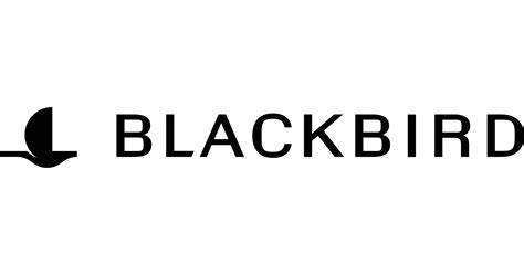 Blackbird Labs Raises $24 Million Series A Round From a16z, Amex ...