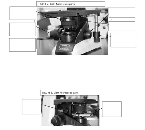 A Light Microscope 的图像结果