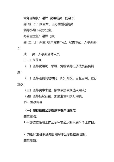 组织部检查组反馈选人用人问题整改工作实施方案 - 职场文档 - 公文易网