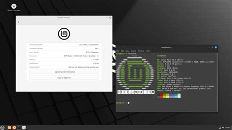 Linux Mint 21.2 Beta Is Now Available for Download with Cinnamon 5.8 ...