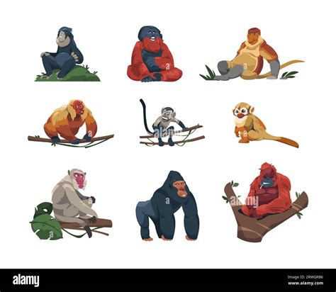 Monkey species. Cute tropical apes flat cartoon style, colorful funny ...