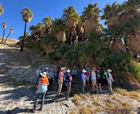 Willis Palms Oasis Loop Trail, Willis Palms Trailhead, 29200 Thousand ...