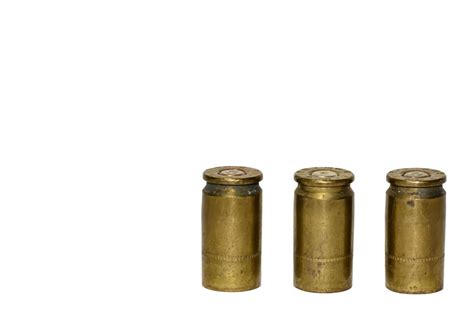 Image result for Shot Shells Bullets