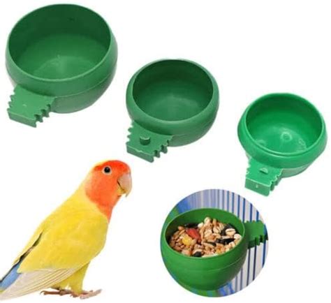 Birds Mini World Birds Water and Food Feeders and Small Birds Feeder ...
