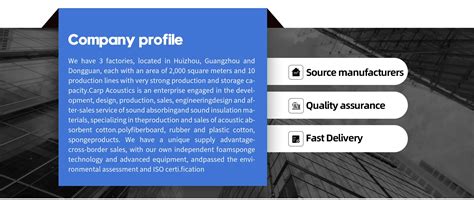 Company Overview - Foshan Carp Acoustic Technology Co., Ltd.