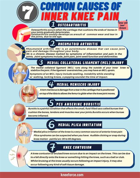 7 Common Causes of Inner Knee Pain - Free Download | Inner knee pain, Knee pain, Knee pain relief