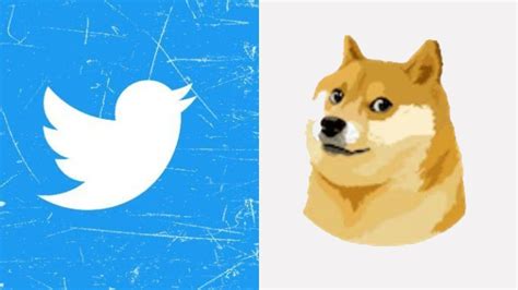 Elon Musk replaces the iconic Twitter bird logo with a dog icon; here's ...