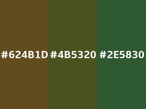 Army green color (Hex 4B5320)