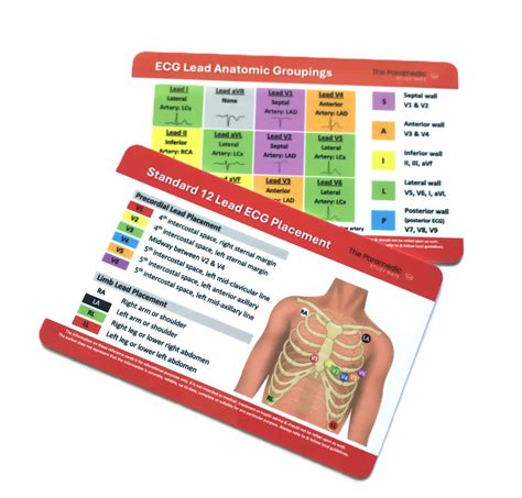 Australian & New Zealand Paramedic Standard 12 Lead ECG Placement + ECG ...