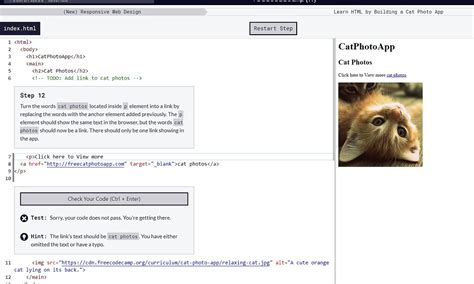 Image result for Freecodecamp 12 HTML Guide