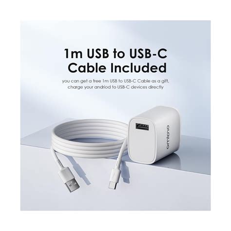 Oraimo (OCW-I97S+C53) 18W Type-C Fast Charger