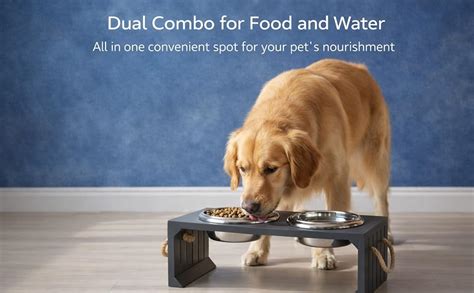 Pawpourri Pet Diner Stainless Steel Pet Bowl Combo with Elevated Wooden ...