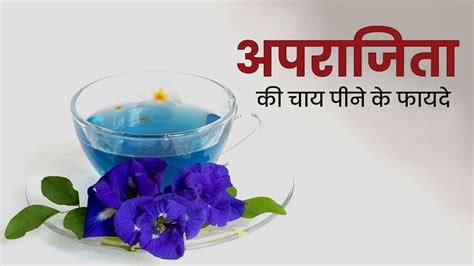 अपराजिता की चाय पीने के फायदे और बनाने का तरीका | Aparajita Flower Tea ...