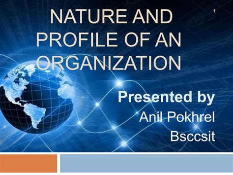 Image result for Management Profile Example