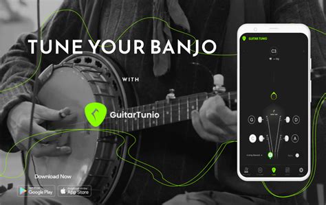 Image result for Banjo Tuning