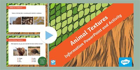 Animal Textures Visual Art Information PowerPoint