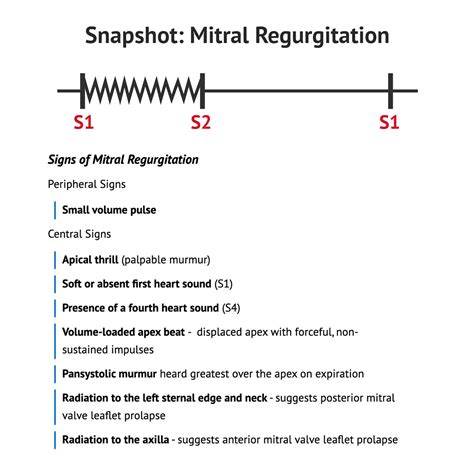 The Murmur of Mitral Valve Insufficiency Is Best Described as