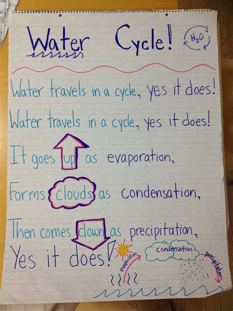 How To Write Water Cycle at Caitlyn Potter blog