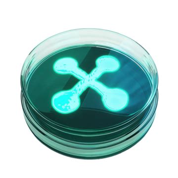 Image result for Alert Icon Transparent Background