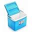 Buy Cello Chiller Ice Box- 3 L Online at Low Prices in India - Amazon.in