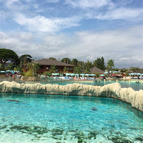 MARINELAND LAGOON (2025) All You Need to Know BEFORE You Go (with ...