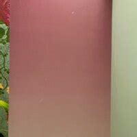 Marshalls Wallpapers — Damaged wallpaper installed