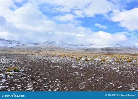 Snow at the Atacama Desert, Chile Editorial Image - Image of travel ...