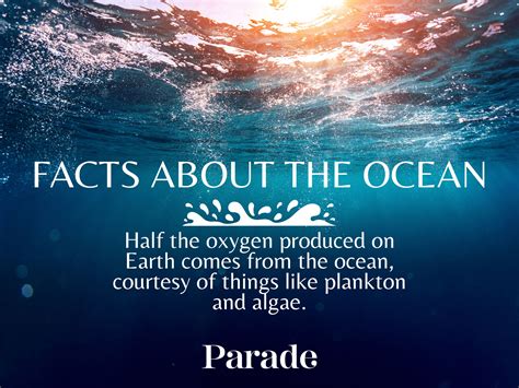 60 Ocean Facts For Kids & Adults - Parade