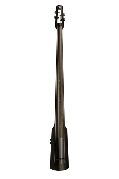 Amazon.com: NS Design NXT 4 String Electric Double Bass - Black Satin ...