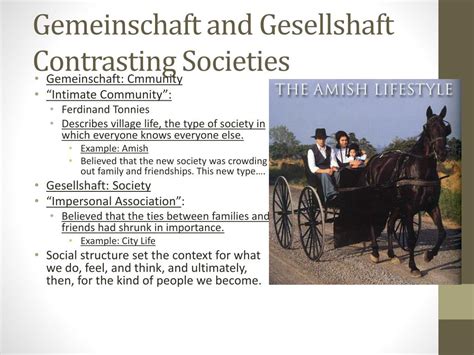 Social Structure 的图像结果