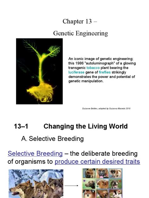 Genetic Engineering: Tools, Techniques and Applications | PDF | Dna | Genetically Modified Organism