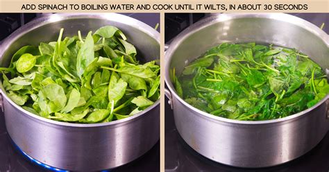 Image result for Light Science EYFS