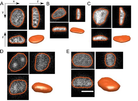 Indian Institute of Science