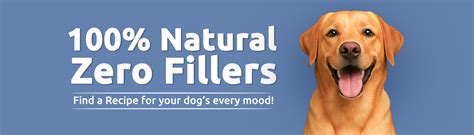 Best Dog Food | Natural & Healthy Dog Food – BLEP World
