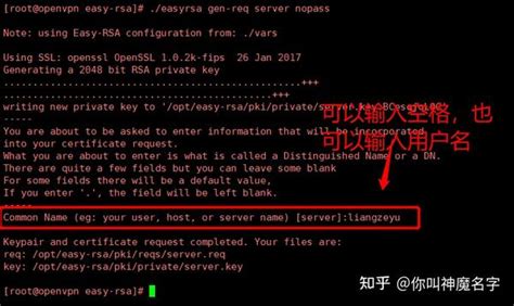 Easy-Rsa OpenVPN 的图像结果