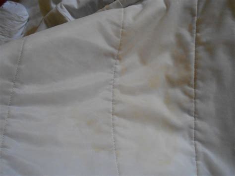 PRINCESS HOTEL & CASINO FREE ZONE (Corozal) - Hotel Reviews & Photos ...