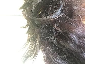 Buy WOW Skin Science Apple Cider Vinegar Shampoo And Coconut + Avocado ...