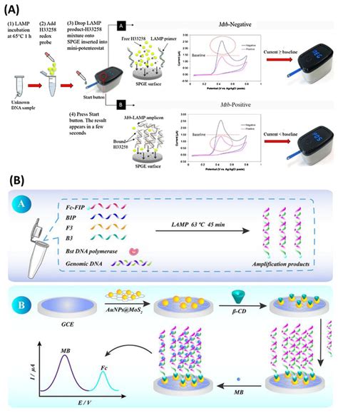 Lamp Technology 的图像结果
