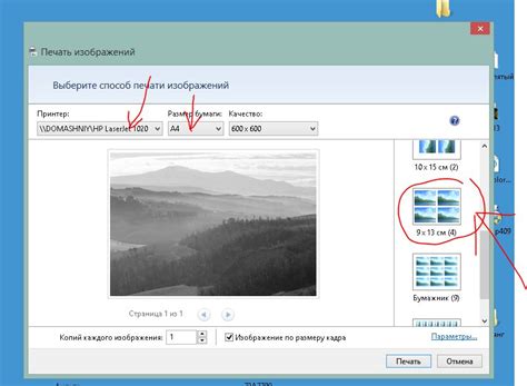 RAW to JPG Converter Software for Windows 11, 10 PC | Free Download
