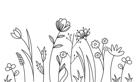 Black silhouettes of grass, flowers and herbs isolated on white background 20376922 Vector Art ...